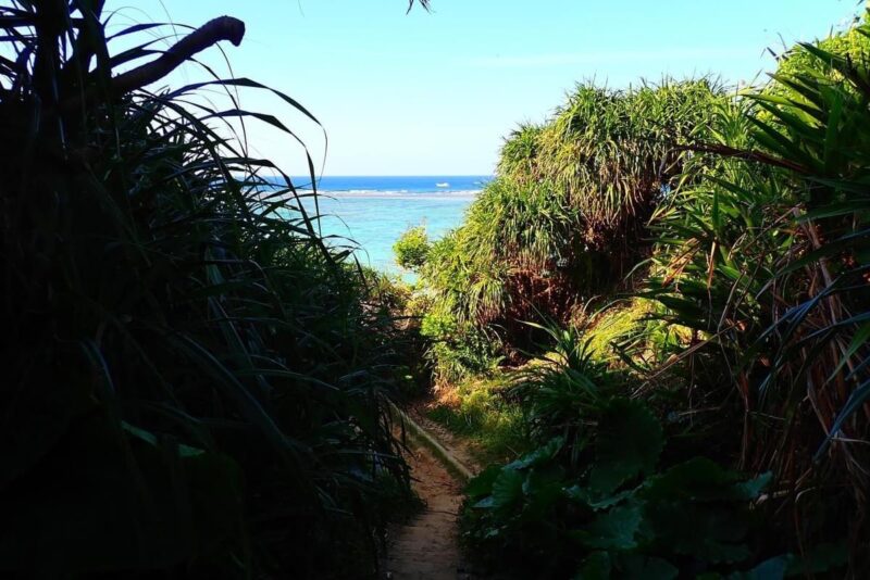 沖縄県豊見城市との連携に関する打ち合わせ