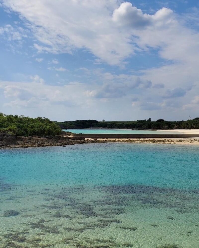 沖縄県宮古島での土地活用、地産地消マルシェの打ち合わせ